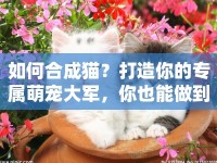 如何合成貓？打造你的專屬萌寵大軍，你也能做到！