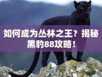 如何成為叢林之王？揭秘黑豹88攻略！