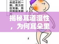 揭秘耳道濕性，為何耳朵里總是有水流出