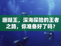 珊瑚王，深海探險的王者之路，你準(zhǔn)備好了嗎？