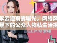 李云迪前妻曝光，網(wǎng)絡(luò)風(fēng)暴下的公眾人物私生活揭秘