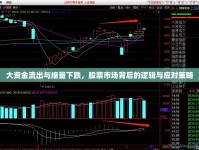 大資金流出與縮量下跌，股票市場背后的邏輯與應(yīng)對策略