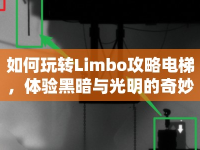如何玩轉(zhuǎn)Limbo攻略電梯，體驗黑暗與光明的奇妙之旅？