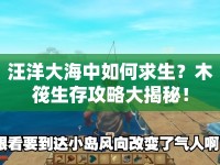 汪洋大海中如何求生？木筏生存攻略大揭秘！