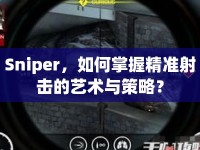 Sniper，如何掌握精準(zhǔn)射擊的藝術(shù)與策略？