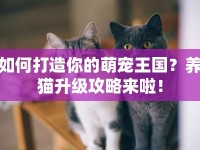如何打造你的萌寵王國？養(yǎng)貓升級攻略來啦！