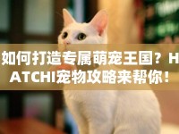如何打造專屬萌寵王國？HATCHI寵物攻略來幫你！