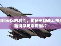 翱翔天際的利劍，揭秘王牌戰(zhàn)斗機(jī)最新消息與震撼圖片