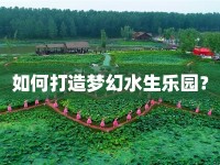 如何打造夢幻水生樂園？