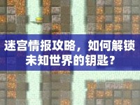 迷宮情報(bào)攻略，如何解鎖未知世界的鑰匙？