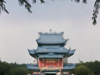 王者傳奇手游道士如何掌握法術(shù)與召喚的奧秘？