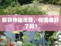 解鎖神秘池塘，你準(zhǔn)備好了嗎？