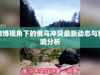 微博視角下的俄烏沖突最新動(dòng)態(tài)與影響分析