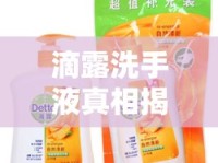 滴露洗手液真相揭秘，事實與誤解的較量