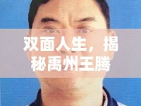 雙面人生，揭秘禹州王騰飛的真相