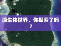 原生體世界，你探索了嗎？