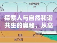探索人與自然和諧共生的奧秘，從高飛之人與自流之水談起