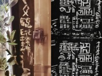 擼av，網(wǎng)絡(luò)文化中的爭議與反思