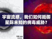 宇宙流感，我們?nèi)绾蔚钟请H未知的病毒威脅？