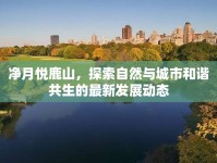 凈月悅鹿山，探索自然與城市和諧共生的最新發(fā)展動(dòng)態(tài)
