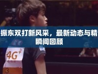 樊振東雙打新風(fēng)采，最新動(dòng)態(tài)與精彩瞬間回顧