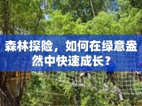 森林探險，如何在綠意盎然中快速成長？