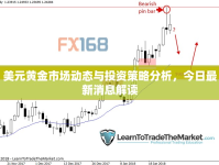 美元黃金市場動態(tài)與投資策略分析，今日最新消息解讀