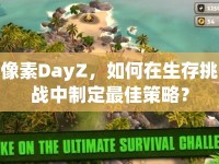 像素DayZ，如何在生存挑戰(zhàn)中制定最佳策略？