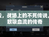趙云，戰(zhàn)場上的不死傳說，無敵吸血流的傳奇