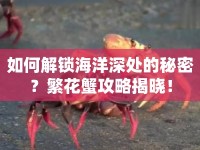 如何解鎖海洋深處的秘密？繁花蟹攻略揭曉！