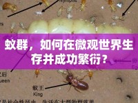 蟻群，如何在微觀世界生存并成功繁衍？