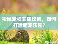 松鼠寵物養(yǎng)成攻略，如何打造萌寵樂(lè)園？