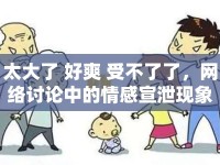 太大了 好爽 受不了了，網(wǎng)絡(luò)討論中的情感宣泄現(xiàn)象