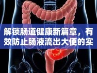 解鎖腸道健康新篇章，有效防止腸液流出大便的實用指南