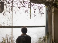 搞肌肌，健身熱潮背后的網(wǎng)絡(luò)文化現(xiàn)象