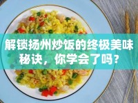解鎖揚(yáng)州炒飯的終極美味秘訣，你學(xué)會(huì)了嗎？