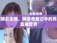 劁豬女主播，網(wǎng)絡(luò)奇趣記中的另類直播世界