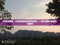 石家莊槐安，從老街到新城的綠色蛻變——城市綠肺的最新生態(tài)篇章