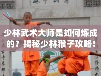 少林武術(shù)大師是如何煉成的？揭秘少林猴子攻略！