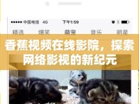香蕉視頻在線影院，探索網(wǎng)絡(luò)影視的新紀(jì)元