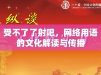 受不了了射吧，網(wǎng)絡用語的文化解讀與傳播