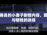 善良的小妻子劇情內(nèi)容，愛與犧牲的抉擇