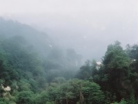 神弓天賦真的強(qiáng)嗎？熱血江湖手游遠(yuǎn)程輸出如何稱霸江湖？