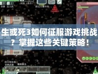 生或死3如何征服游戲挑戰(zhàn)？掌握這些關(guān)鍵策略！
