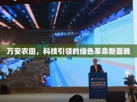 萬安農(nóng)田，科技引領(lǐng)的綠色革命新面貌