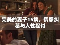 完美的妻子15集，情感糾葛與人性探討
