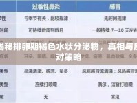 揭秘排卵期褐色水狀分泌物，真相與應(yīng)對(duì)策略