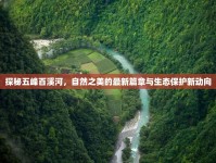 探秘五峰百溪河，自然之美的最新篇章與生態(tài)保護新動向