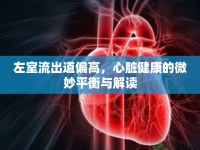 左室流出道偏高，心臟健康的微妙平衡與解讀