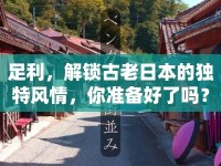 足利，解鎖古老日本的獨特風情，你準備好了嗎？